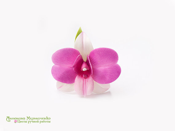 Hair clip Orchid Dendrobium - Polymer Clay Flowers