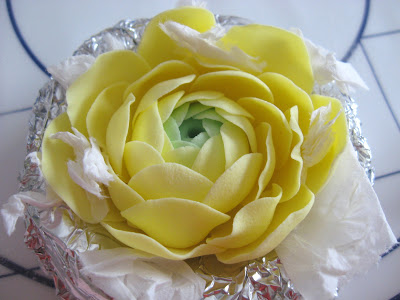 ranunculus