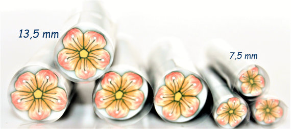 Coral-Peach Flower Polymer Cane