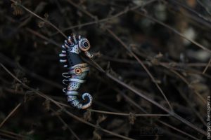 Polymer clay Seahorse DIY step by step tutorial