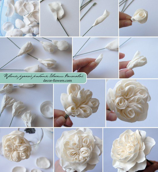 Polymer clay pion shaped rose - DIY step by step tutorial